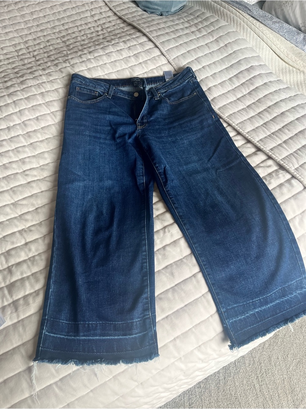 Banana Republic Factory Indigo Wide-Leg Cropped Jeans with Raw Hem